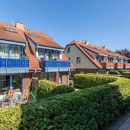 Papillon 01-4 Boltenhagen (Ostseebad)